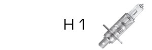 H1