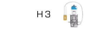 H3