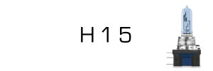 H15