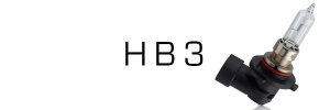 HB3