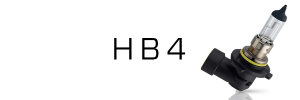 HB4