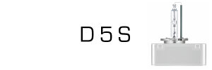 D5S