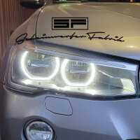 Reparatur - BMW X3 X4 F25 F26 LCI LED HIGH - LED-Tagfahrlicht Defekt Ausfall Lichtleiter