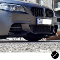 Umbau Gittereinsatz Stoßstange Gitter Links Rechts passend für BMW 5er F10 F11 M-Paket 550