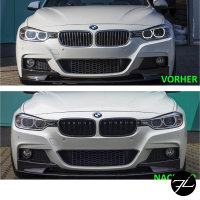 Kühlergrill Grill Schwarz Glanz Doppelsteg Sport passend für BMW 3er F30 F31 alle Modelle 2011-2019 +Emblemhalter