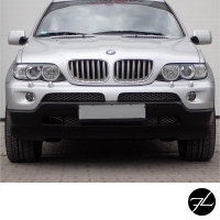 Satz Kühlergrill Chrom Titan passend für BMW X5 E53 Facelift 2003-2007 LCI +M