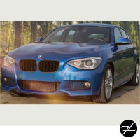 SET Doppelsteg Kühlergrill Grill Schwarz Glanz passt für BMW 1er F20 F21 ab 2010-2015