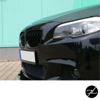 SET Kühlergrill Grill Schwarz Glanz Doppelsteg +Emblemhalter passend für BMW 5er F10 F11 auch M M5